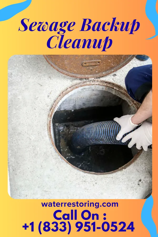 Sewage Backup Cleanup in Spring Hill, TN