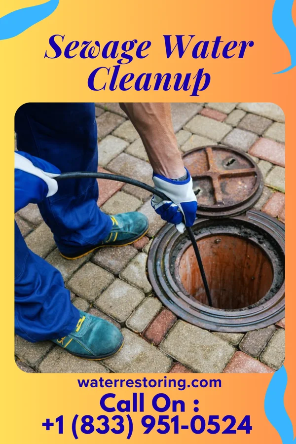 Sewage Water Cleanup in Spring Hill, TN